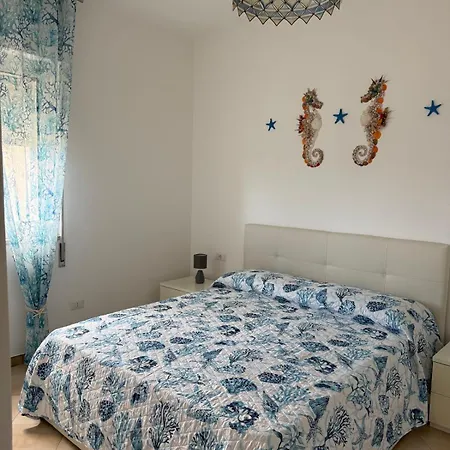 Oda ve Kahvaltı Seashell